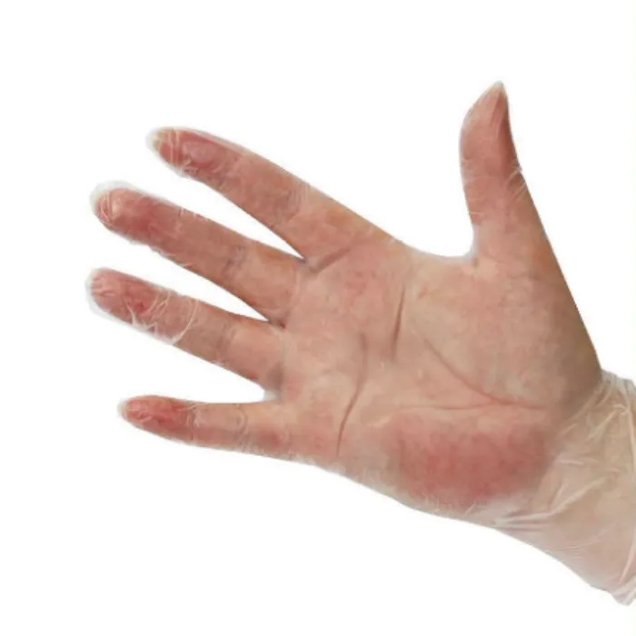 Small Clear Vinyl Powder-Free Gloves