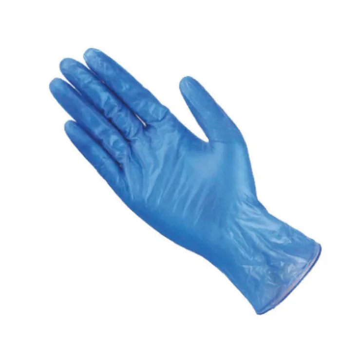 Small Blue Vinyl Powder-Free Gloves